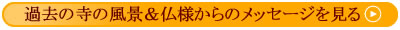 寺の風景仏様からメッセージ