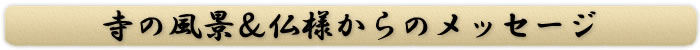 寺の風景仏様からメッセージ